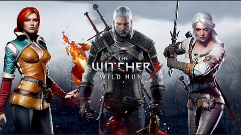 THE WITCHER 3 WILD HUNT