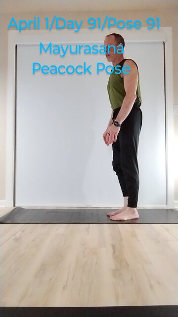 Mayurasana / Peacock