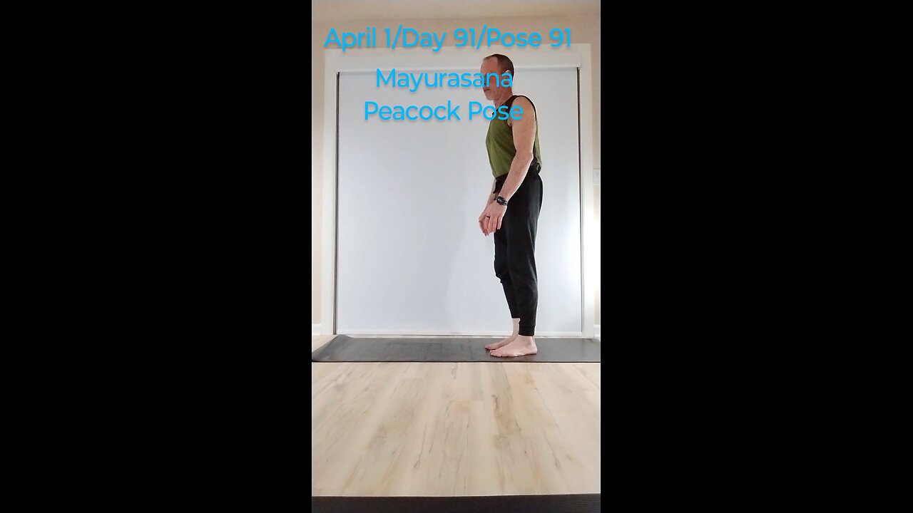 Mayurasana / Peacock