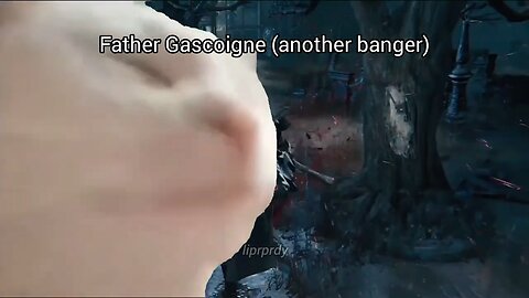 POV: Your Cat Is the New Bloodborne Pro