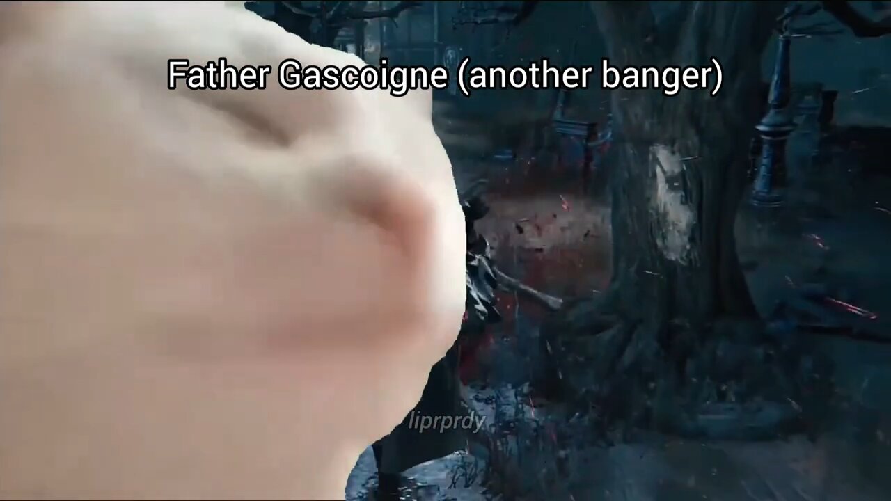 POV: Your Cat Is the New Bloodborne Pro
