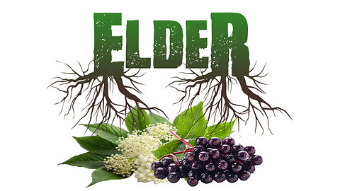 Elder Herbal Extract Review