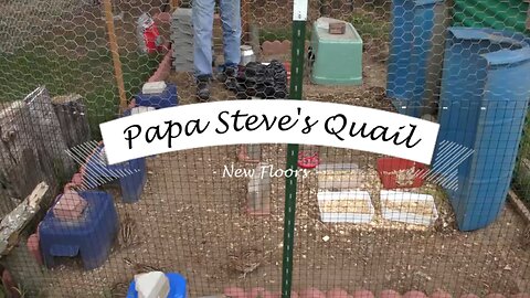 Back Yard Quail Get New Floors
