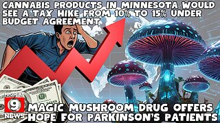 Supreme Court expands civil RICO: Cannabis industry faces new risks in wake of Horn decision