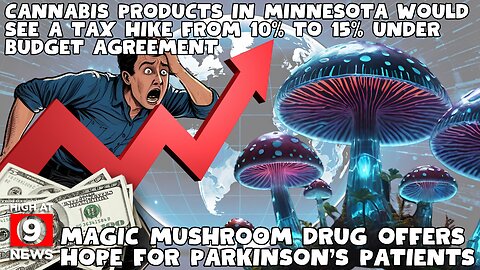 Supreme Court expands civil RICO: Cannabis industry faces new risks in wake of Horn decision