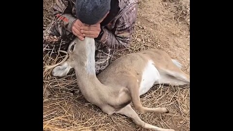 Miracle: I had no idea that you could do CPR on a 🦌 deer! But I saved him.