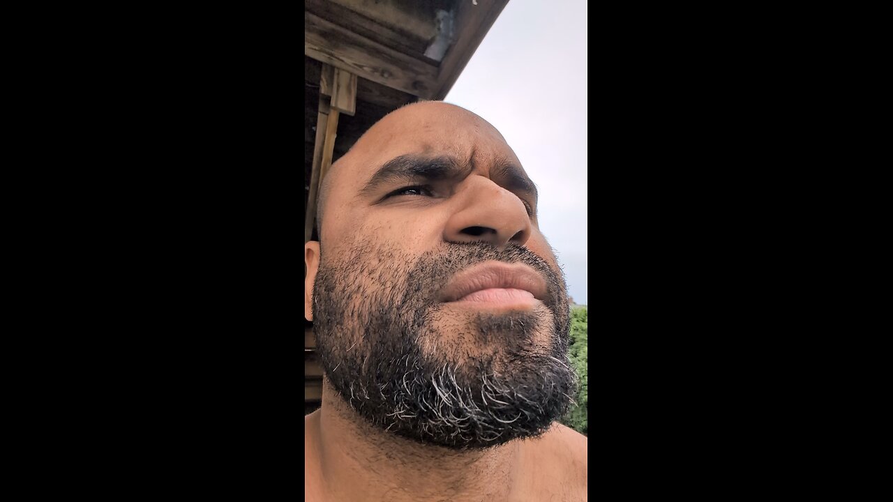 put meds in the dog food.