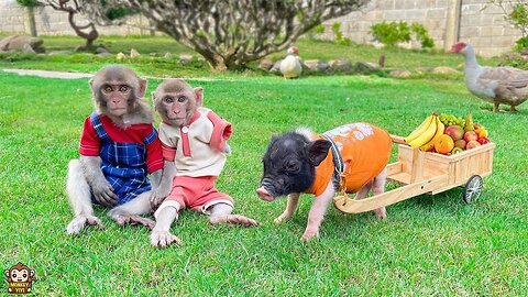 A happy week of YiYi and YinYin when Un In comes home