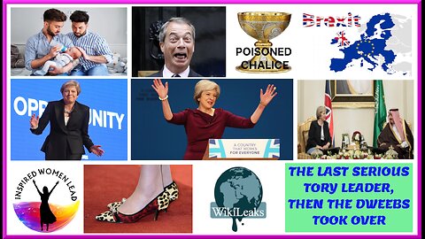 An Ode To...Theresa May, the last sensible conservative Prime Minister
