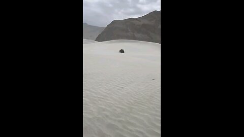 Safari