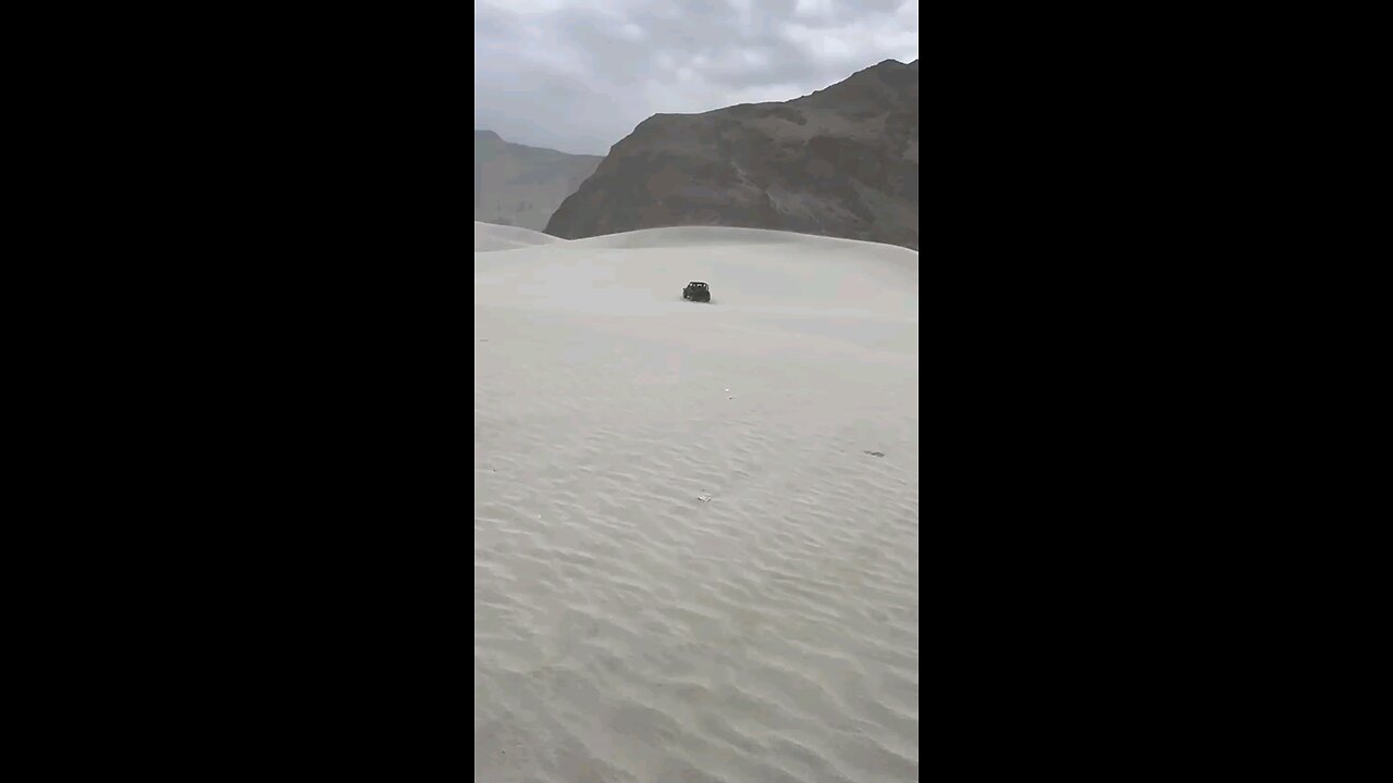 Safari