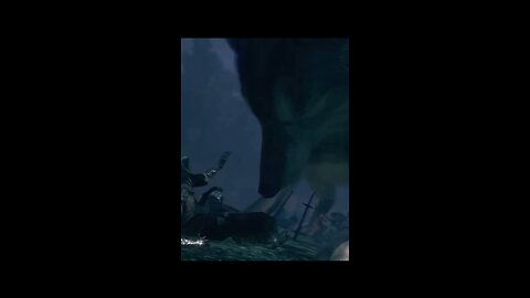 Did you notice Sif & Artorias?