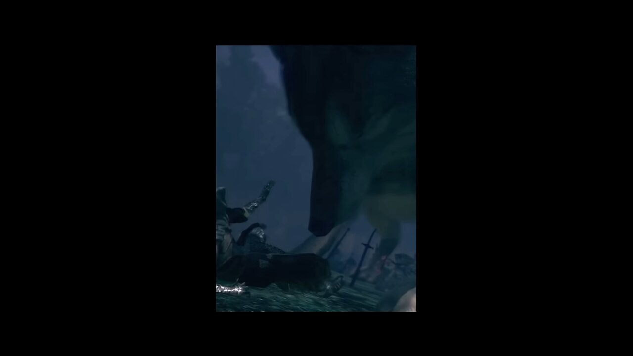Did you notice Sif & Artorias?