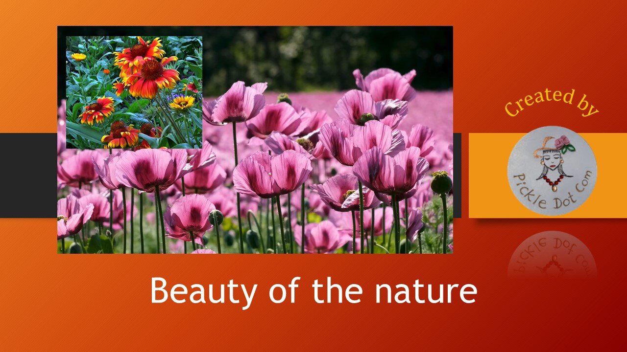 Flowers Dancing in the Wind 🌬️ | Soothing Nature Bliss