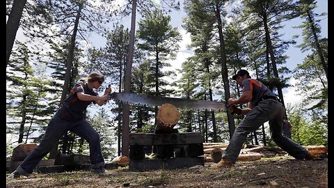 Whipsaw Risk The New Corporate Fright Scenario