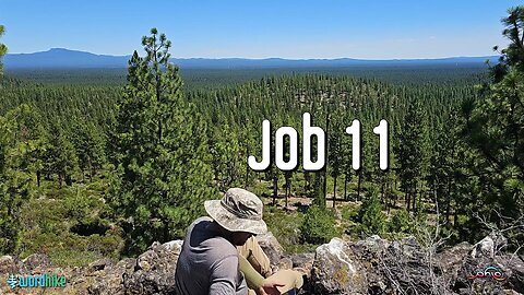 Job 11