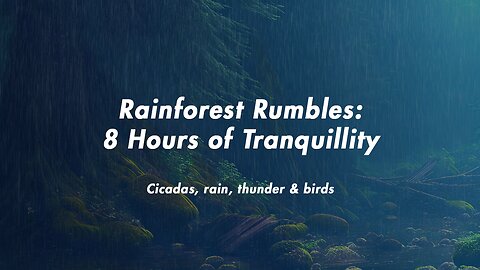 Rainforest Rumbles: 8 Hours of Tranquillity