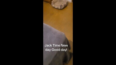 New Day Good Day