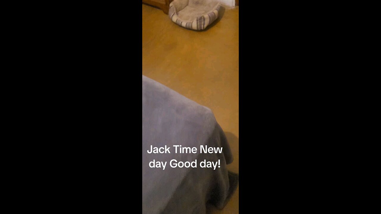 New Day Good Day