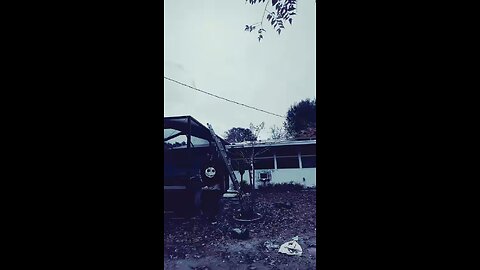 Survival