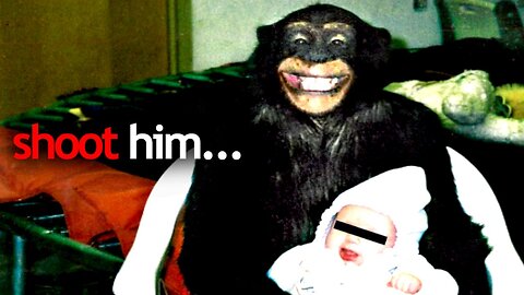 2 photos with disturbing backstories