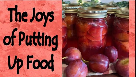 The Joys of Putting Up Food