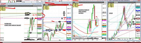 Nov12 #Soybeans #Corn Govt reopen rumblings