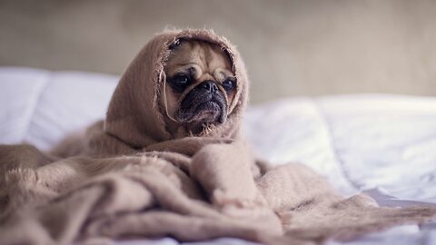 So Tired lol