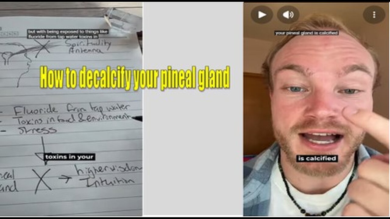 How to decalcify your pineal gland by Paris · Else