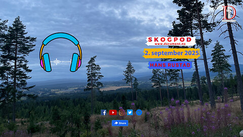 Skogpod 2. september 2025