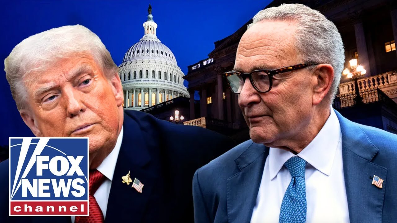 'STOP THE MADNESS': GOP lawmaker RAILS against Dems blocking shutdown deal