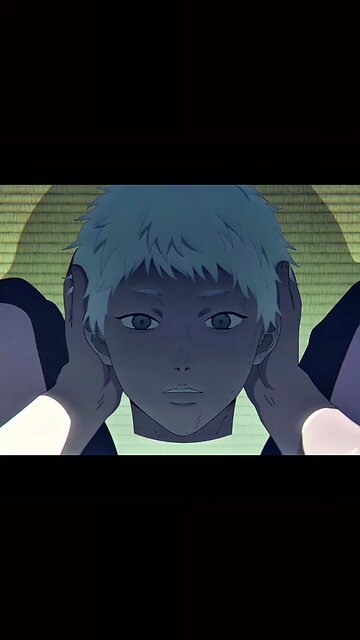 The Summer Hikaru died