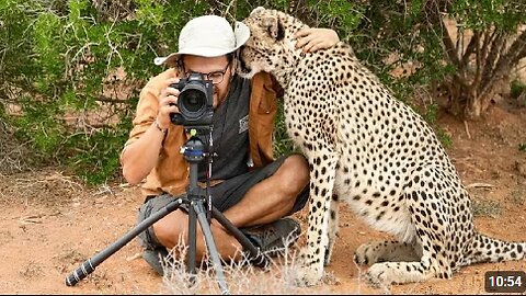 Wild Animals SHOCK Photographers in the Cutest Ways 🤪 Funny Animal Videos 2025