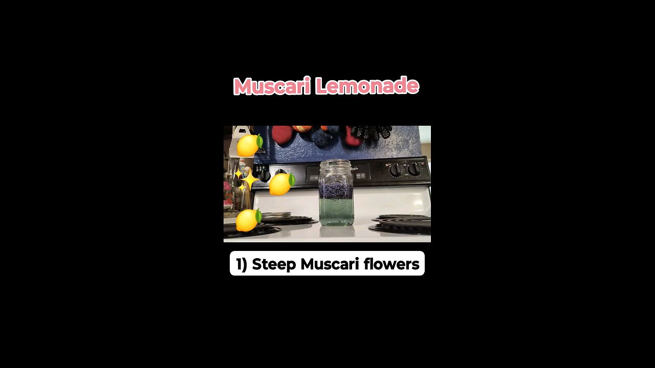 Muscari Lemonade