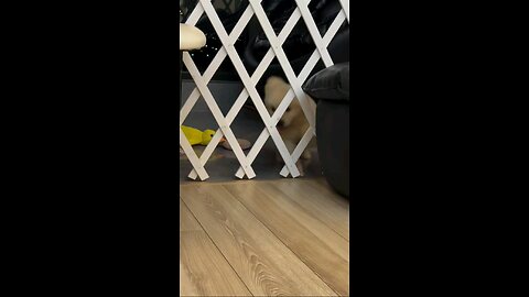 किधर से जाऊ मै