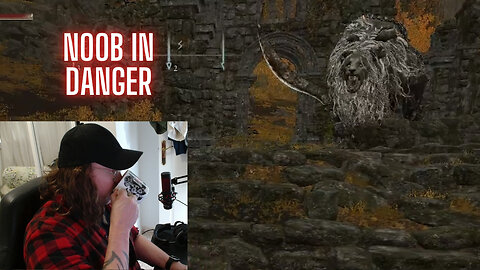 Noob in Danger! (Elden Ring)