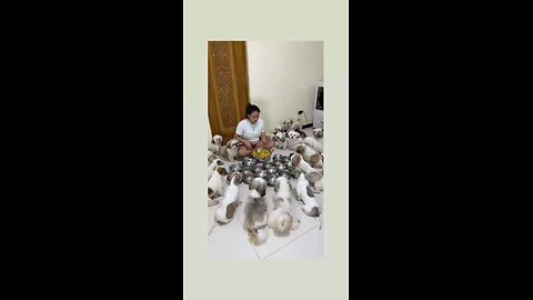 खुबसूरत विडिओ