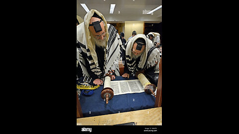 Torah shills - Ouch!