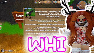 Donkeys Have Arrived In Wild Horse Islands