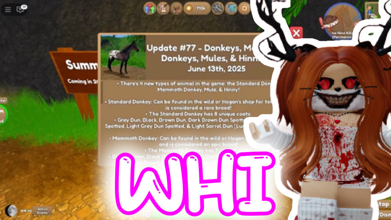 Donkeys Have Arrived In Wild Horse Islands