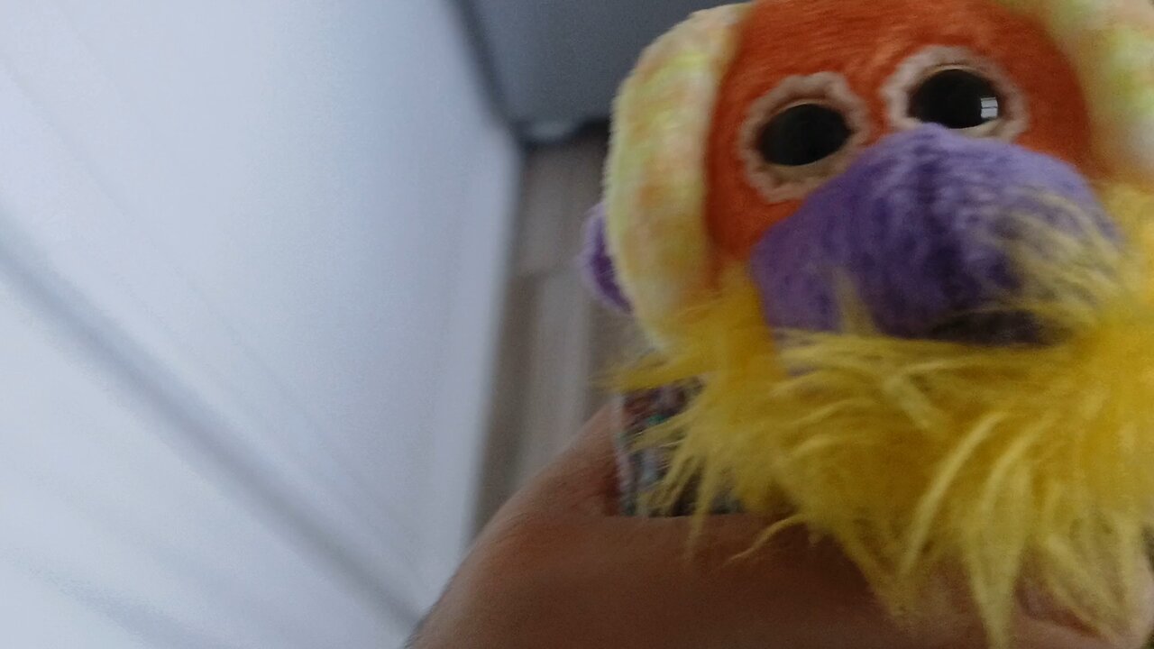 Bananas Makes Perry Run In The Rain / Grounded