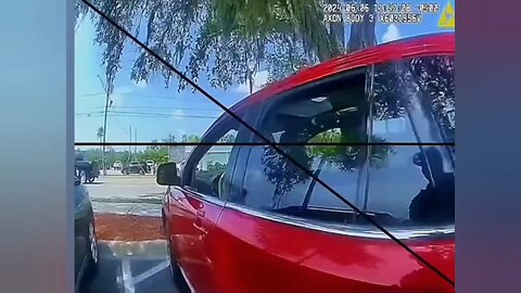 Girl’s traffic stop spirals into felony charges. Actions have consequences.#japdmedia #PnDmart #japd