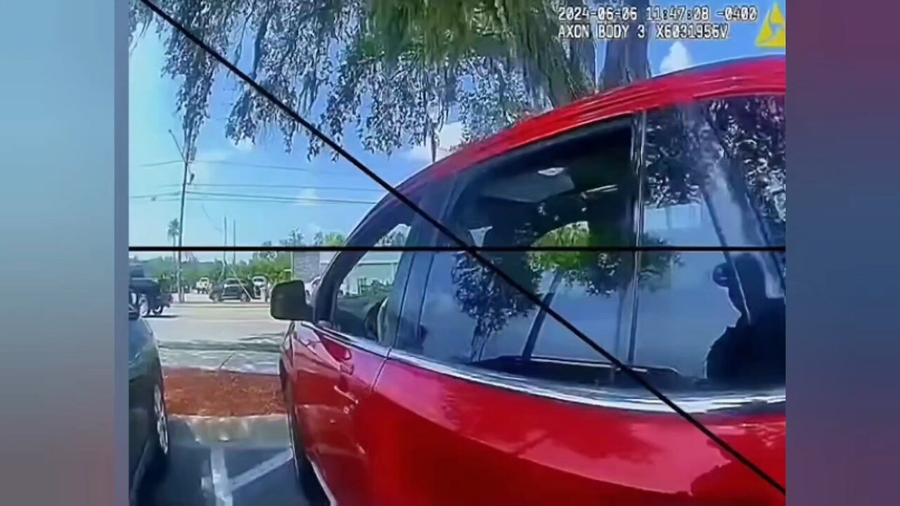 Girl’s traffic stop spirals into felony charges. Actions have consequences.#japdmedia #PnDmart #japd