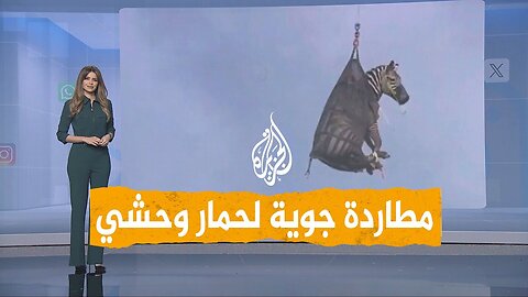 شبكات _ القبض على حمار وحشي هارب في أمريكا