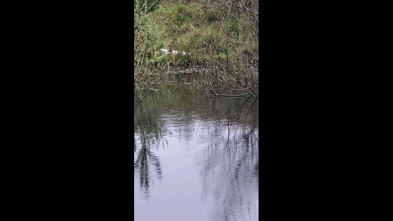 source of flooding