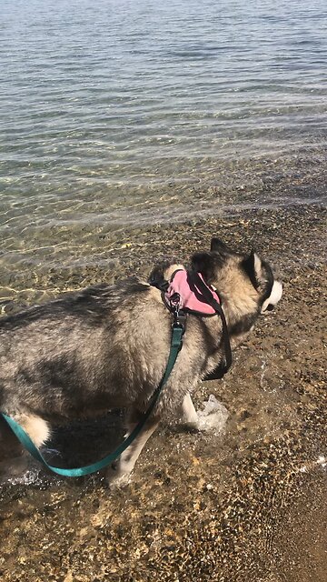 Resurrection Sunday April 20, don’t be afraid he said.