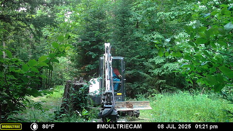 Brushing out road to Off Grid