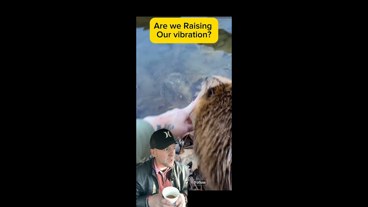 Are we raising our vibration ?