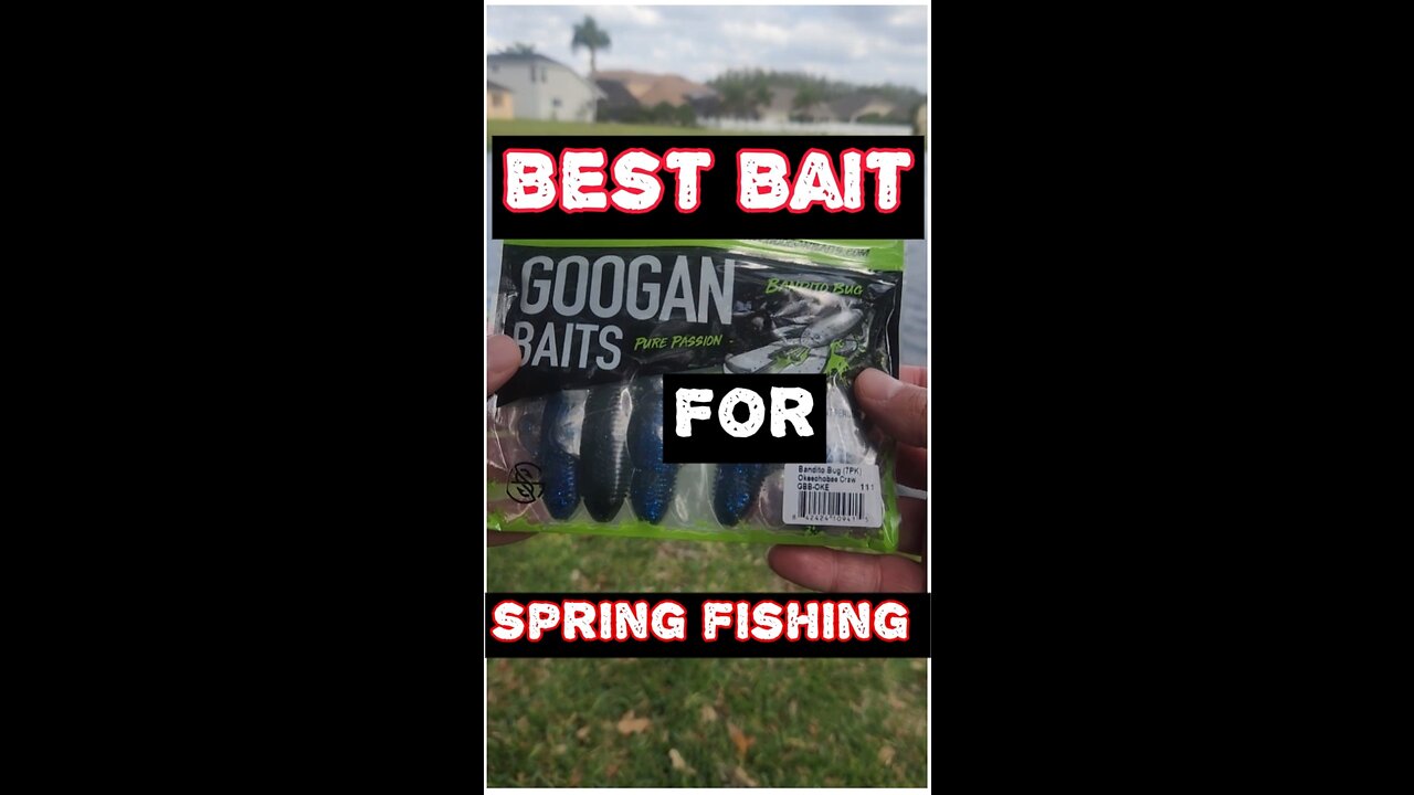 Spring time fishing in florida