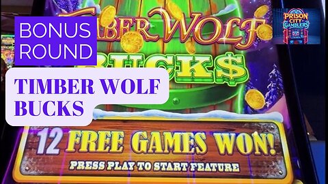200x Win on Timber Wolf Bucks 💥🎰🧨